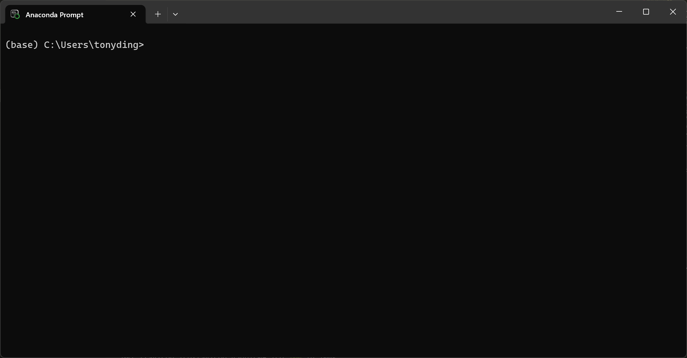Anaconda Prompt window